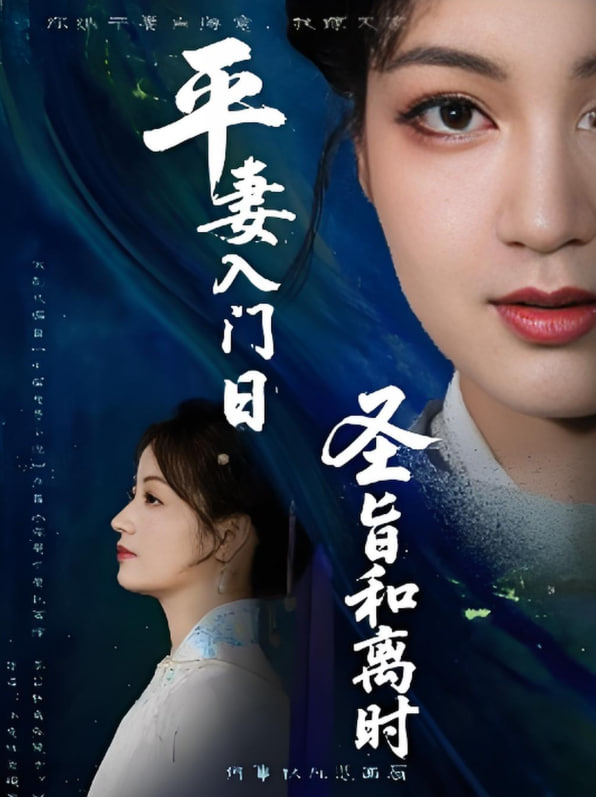 平妻入门日圣旨和离时