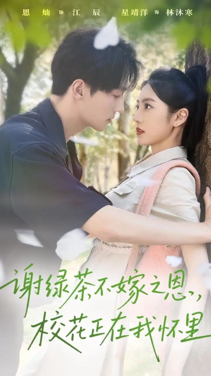 谢绿茶不嫁之恩校花正在我怀里