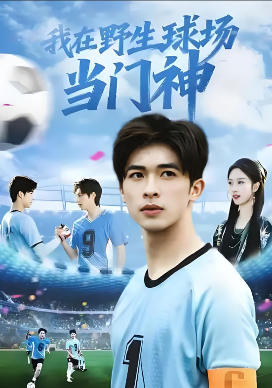 我在野生球场当门神
