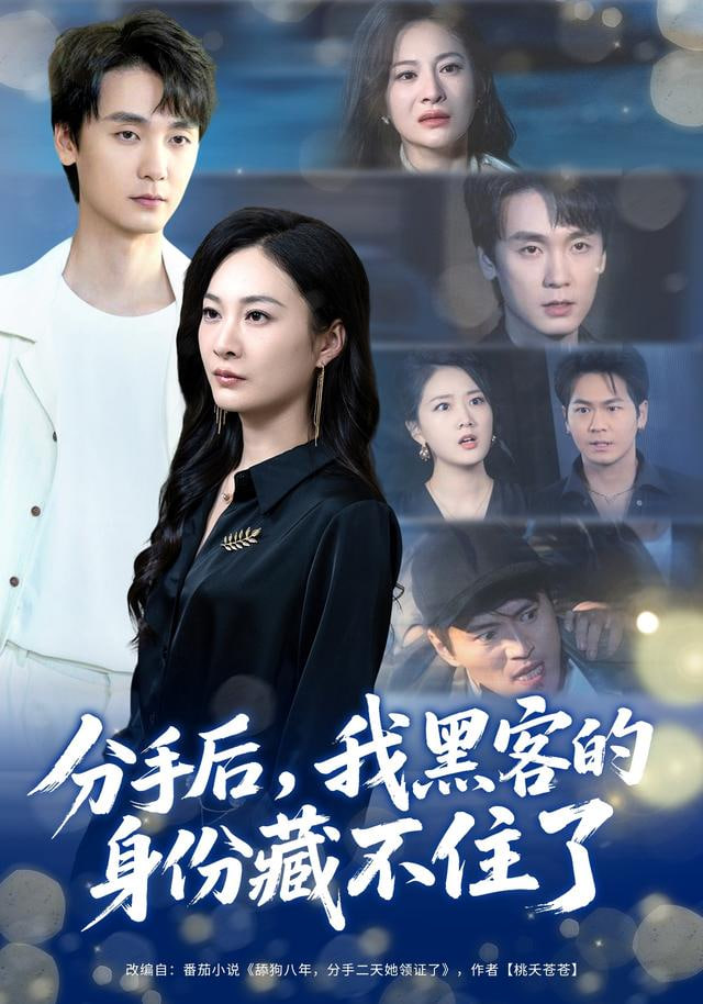 分手后，我黑客的身份藏不住了