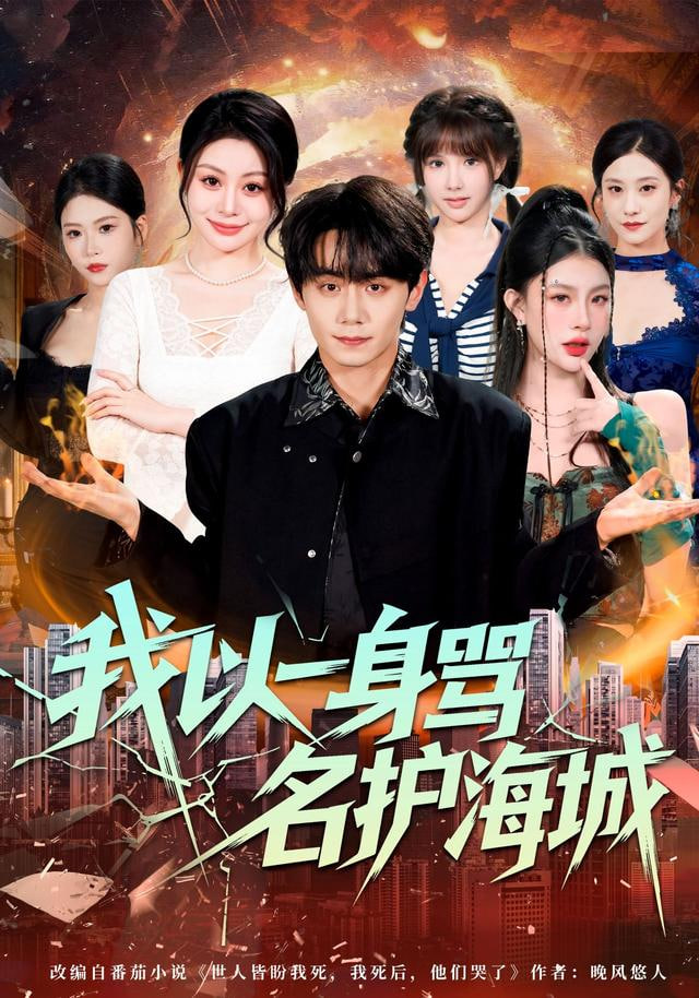 我以一身骂名护海城